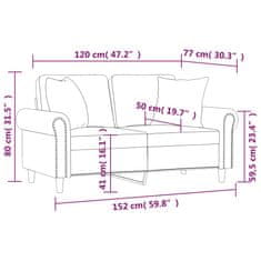 Petromila vidaXL 2-miestna pohovka s vankúšmi tmavozelená 120 cm zamat