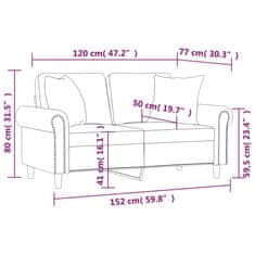 Petromila vidaXL 2-miestna pohovka s vankúšmi svetlosivá 120 cm zamat