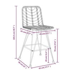 Petromila vidaXL Barové stoličky 2 ks čierne 45x56x103,5 cm PE ratan a oceľ