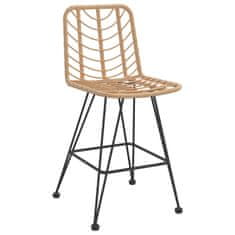 Petromila vidaXL Barové stoličky 2 ks 45x56x103,5 cm PE ratan a oceľ