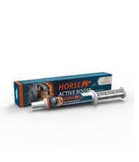 Horse Active Boost perorálna pasta 1x20g