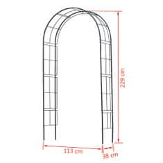 Petromila vidaXL Nature Záhradný oblúk, kov 229x38x113 cm, čierny