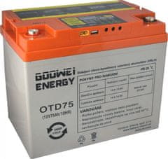 4DAVE DEEP CYCLE (GEL) baterie GOOWEI ENERGY OTD75, 75Ah, 12V