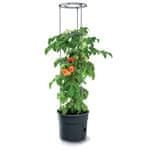 Prosperplast Kvetináč TOMATO GROWER na pestovanie paradajok 29,5 cm antracit