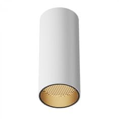 MAYTONI MAYTONI Stropné svietidlo FOCUS LED C056CL-L12W3K-WDW