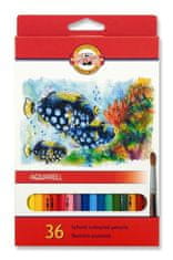 KOH-I-NOOR pastelky školské akvarelové 36 ks motív RYBY