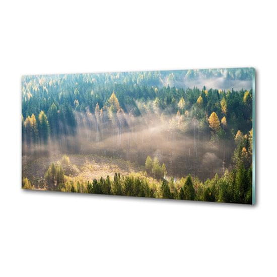 Wallmuralia.sk Dekoračný panel sklo Hmla v lese