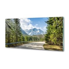Wallmuralia.sk Dekoračný panel sklo Cesta Tatry 100x70 cm