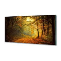 Wallmuralia.sk Dekoračný panel sklo Jesenný les 100x50 cm