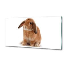 Wallmuralia.sk Dekoračný panel sklo Červený králik 100x50 cm