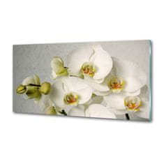 Wallmuralia.sk Panel do kuchyne Biela orchidea 100x70 cm