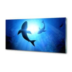 Wallmuralia.sk Dekoračný panel sklo dva žraloky 100x70 cm
