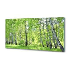 Wallmuralia.sk Dekoračný panel sklo Brezovy les 100x50 cm