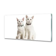 Wallmuralia.sk Dekoračný panel sklo Biele mačky 125x50 cm