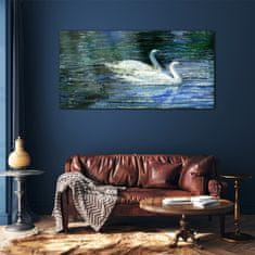 COLORAY.SK Skleneny obraz Jazero vtákov labute vody 120x60 cm