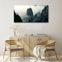 COLORAY.SK Obraz canvas Mountain fog hmlou strom mraky 120x60 cm