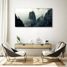 COLORAY.SK Obraz canvas Mountain fog hmlou strom mraky 120x60 cm