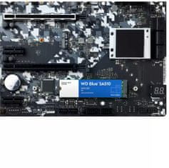 Western Digital WD Blue SA510, M.2 - 250GB (WDS250G3B0B)