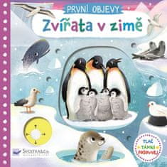 Jenny Wren: První objevy Zvířata v zimě