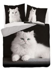 Detexpol Francúzske obliečky Perzská mačka Bavlna, 220/200, 2x70/80 cm