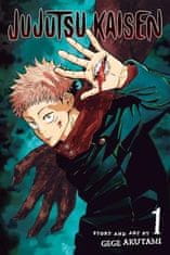 Gege Akutami: Jujutsu Kaisen 1