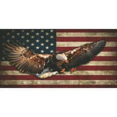 Retro Cedule Ceduľa značka USA Vlajka