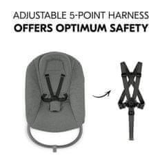 Hauck Alpha+ Bouncer premium Dark Grey