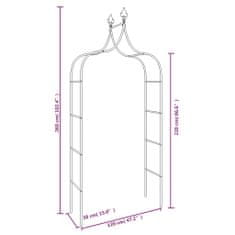 Petromila vidaXL Záhradné oblúky 2 ks čierne 120x38x260 cm oceľ
