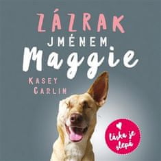 Zázrak menom Maggie - Kasey Carlin CD