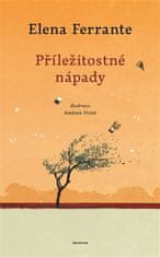 Elena Ferrante;Andrea Ucini: Příležitostné nápady